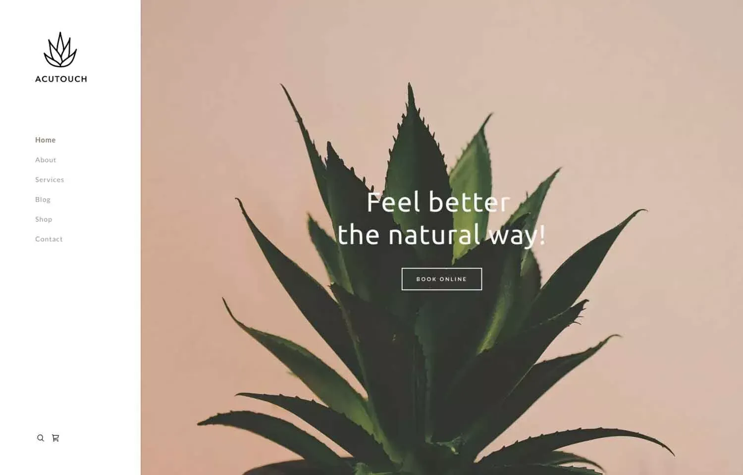 imageye___-_imgi_94_kohealthalternativetemplate_desktop